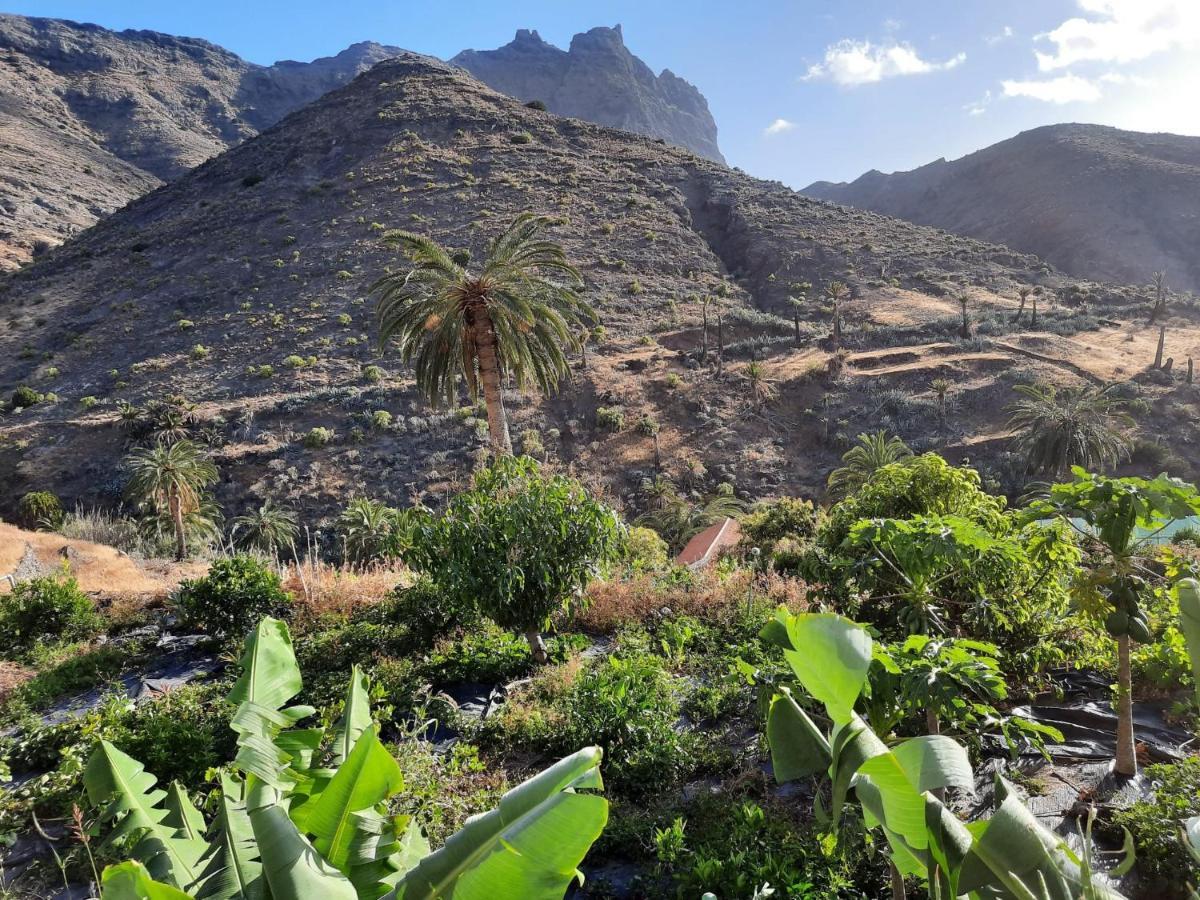 Casa Rural La Vega Alojera Ngoại thất bức ảnh