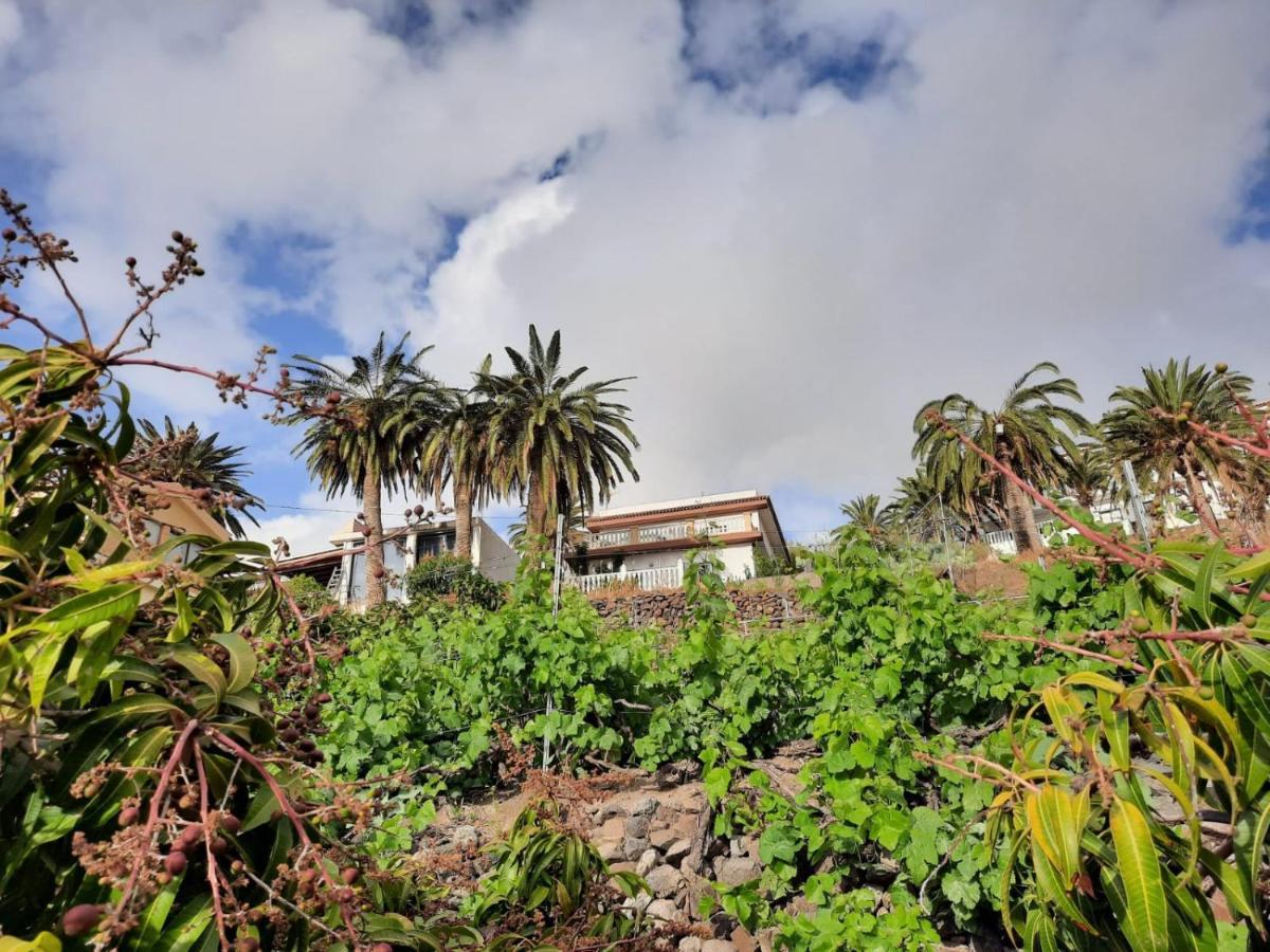 Casa Rural La Vega Alojera Ngoại thất bức ảnh